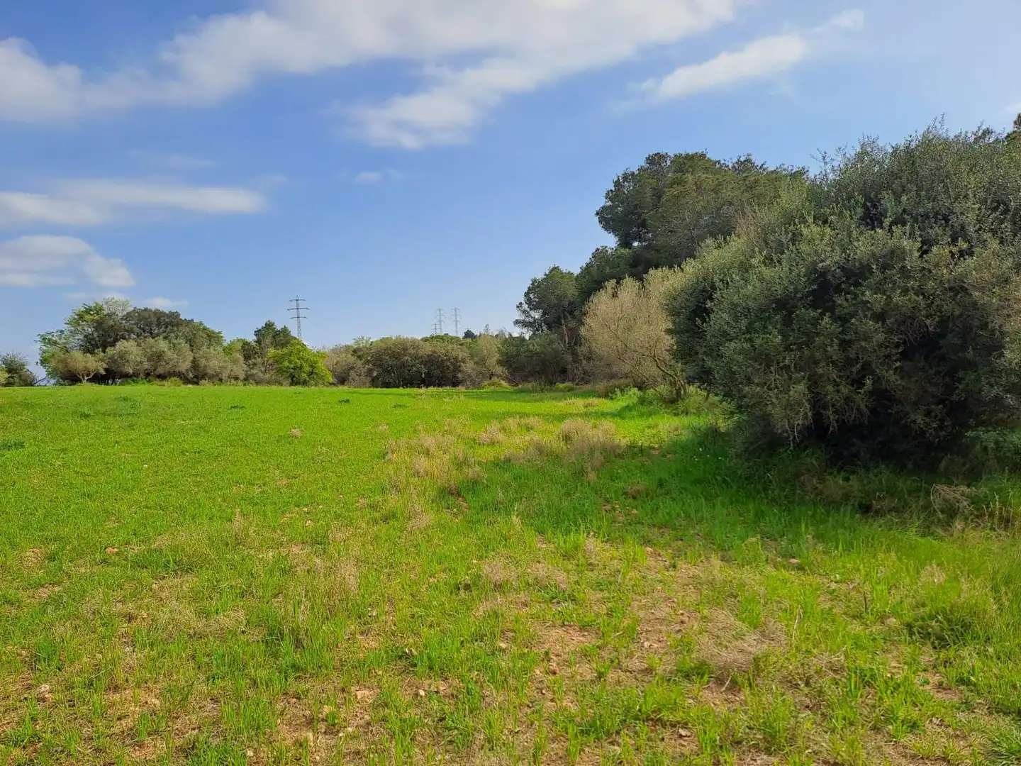 Land for sale in Terrassa