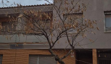 Photo 2 of Single-family semi-detached for sale in Calle Maestros Canteros, 8, Imaginalia - Llanos del Águila,  Albacete Capital