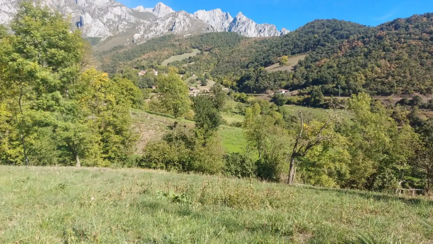 Terreno en venta en Camaleño