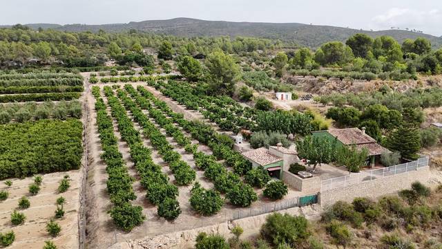 Casa-chalet en Venta en Benicolet