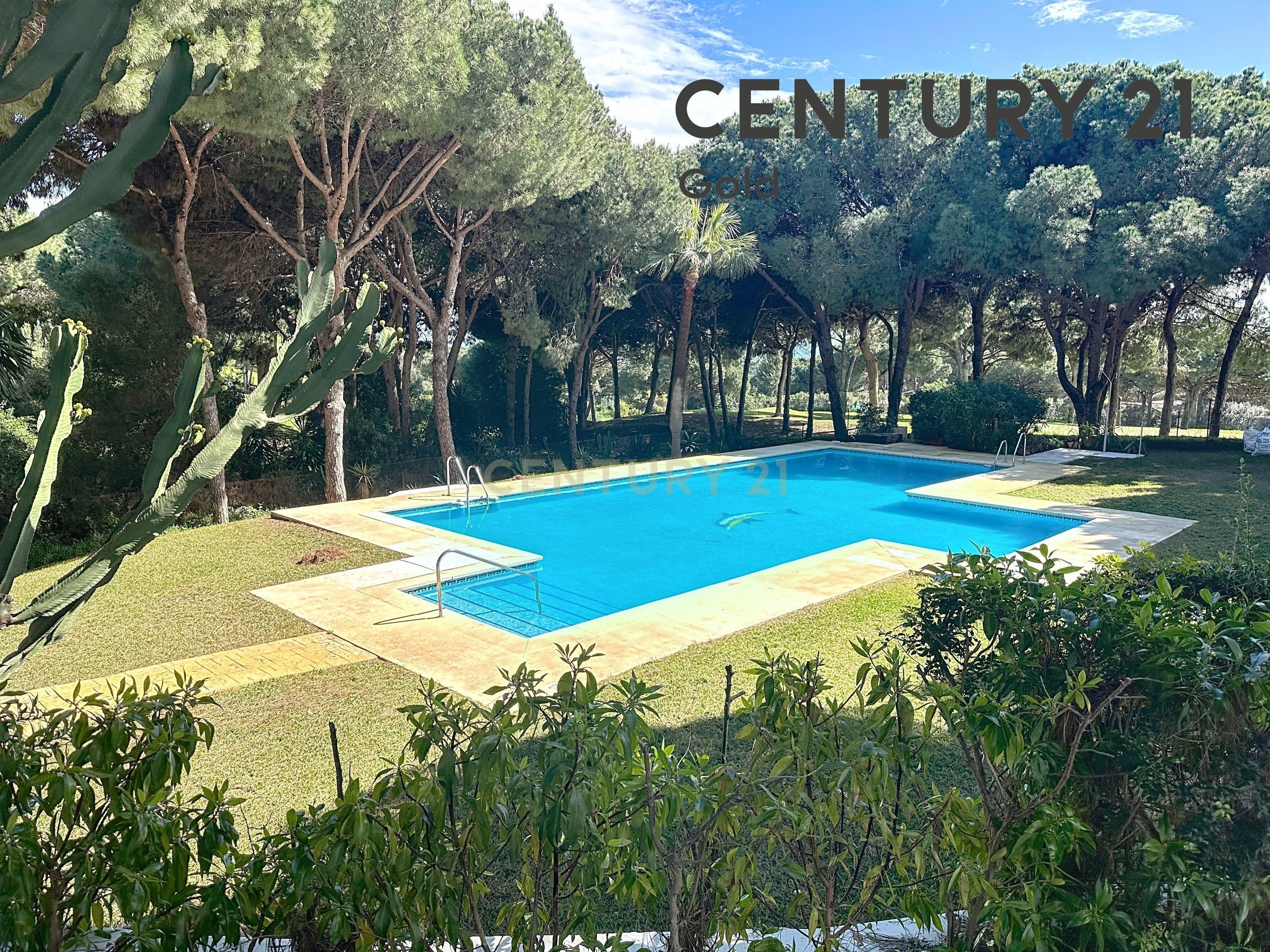 Jardí de Casa o xalet en venda en Marbella amb Terrassa