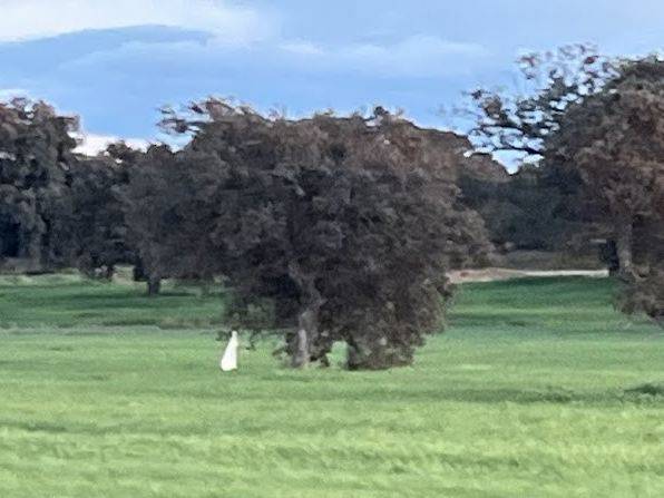 Terreno en Venta en N-430, 1 en Navalvillar de Pela