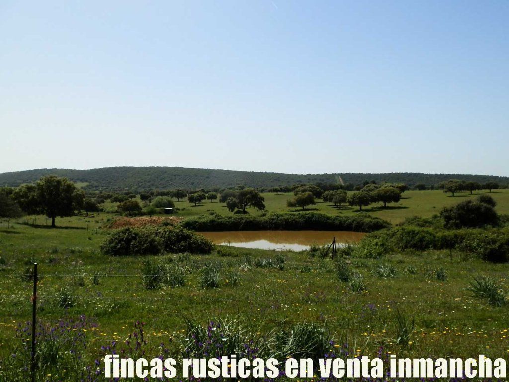 Land for sale in Almadén