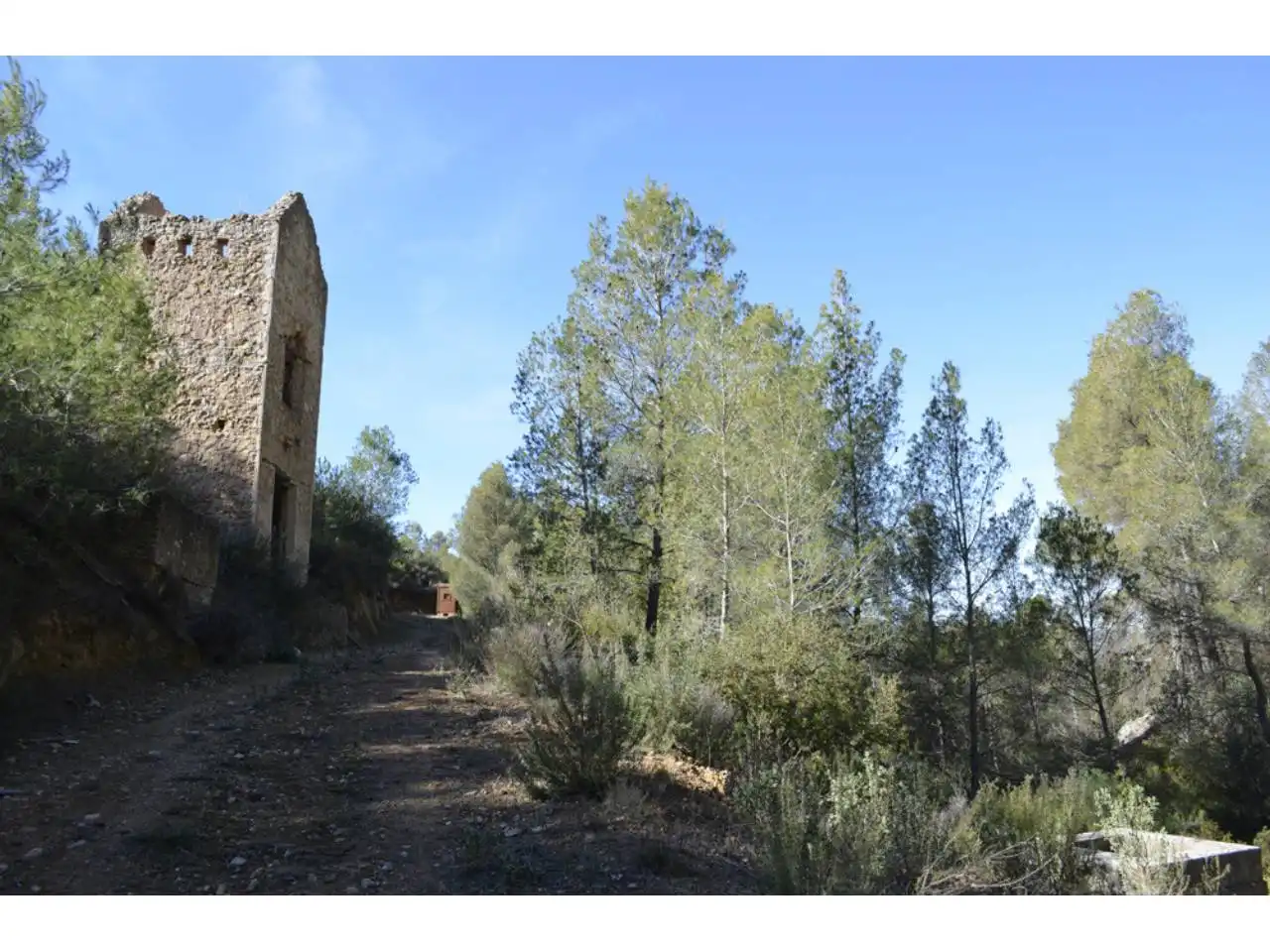 Lands and plots for sale in Pasaje Rincones y Sierra Espuña, imagen 3
