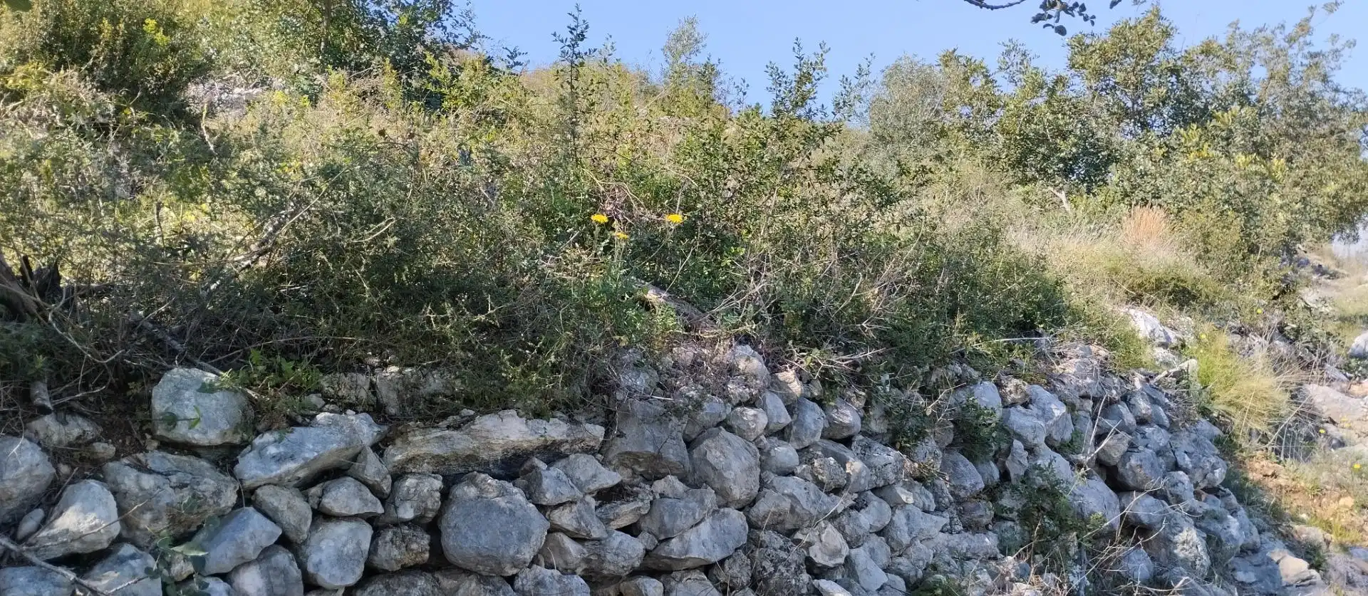 Rural land for sale in Pego, imagen 7