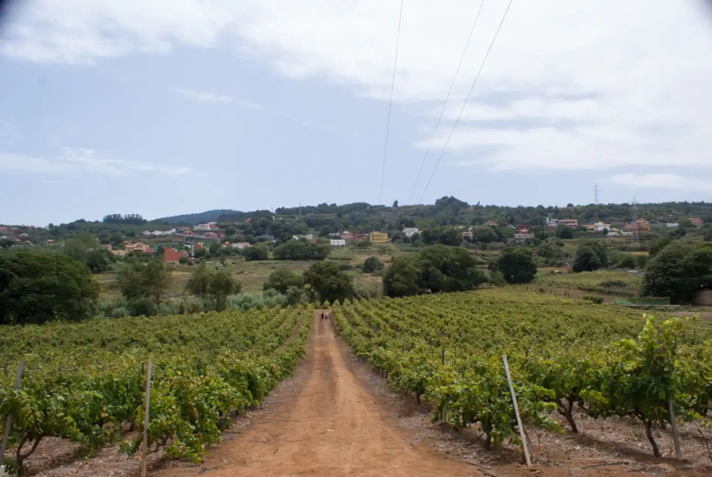 Vista exterior de Terreny en venda en El Sauzal