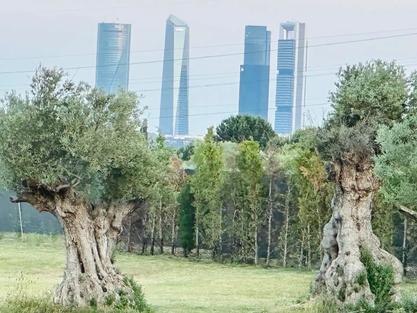 Außenansicht von Grundstücke zum Verkauf in  Madrid Capital
