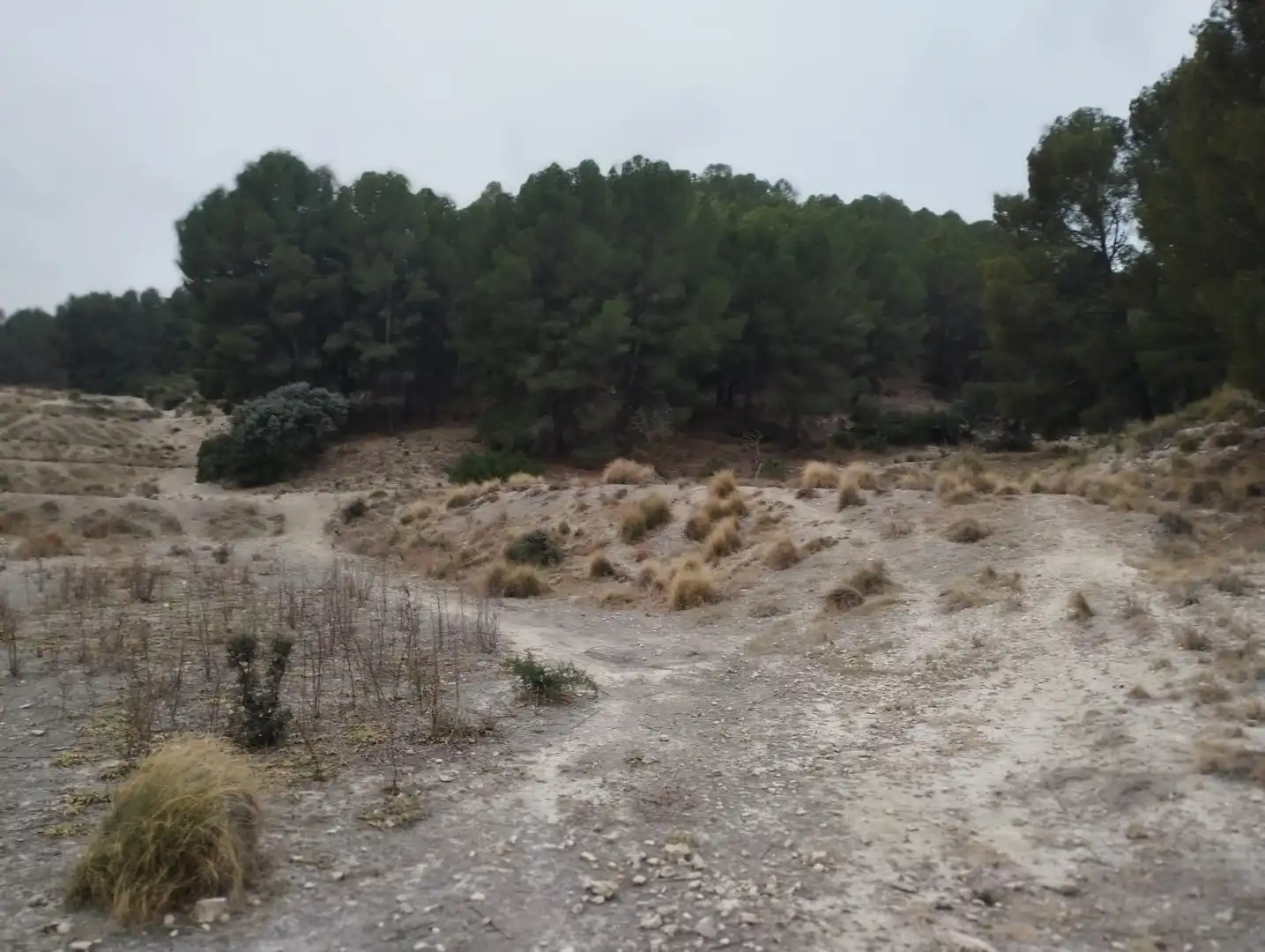 Terreno rustico in vendita a Pt Rincón de Egea - Hoya Redonda -, imagen 18