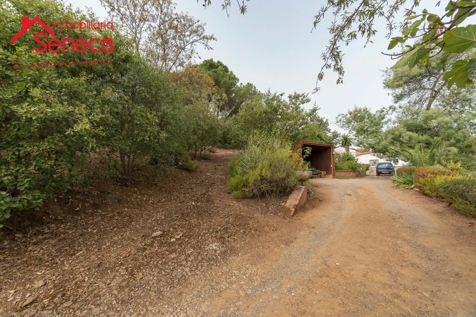 Casa o xalet en venda a Las Jaras