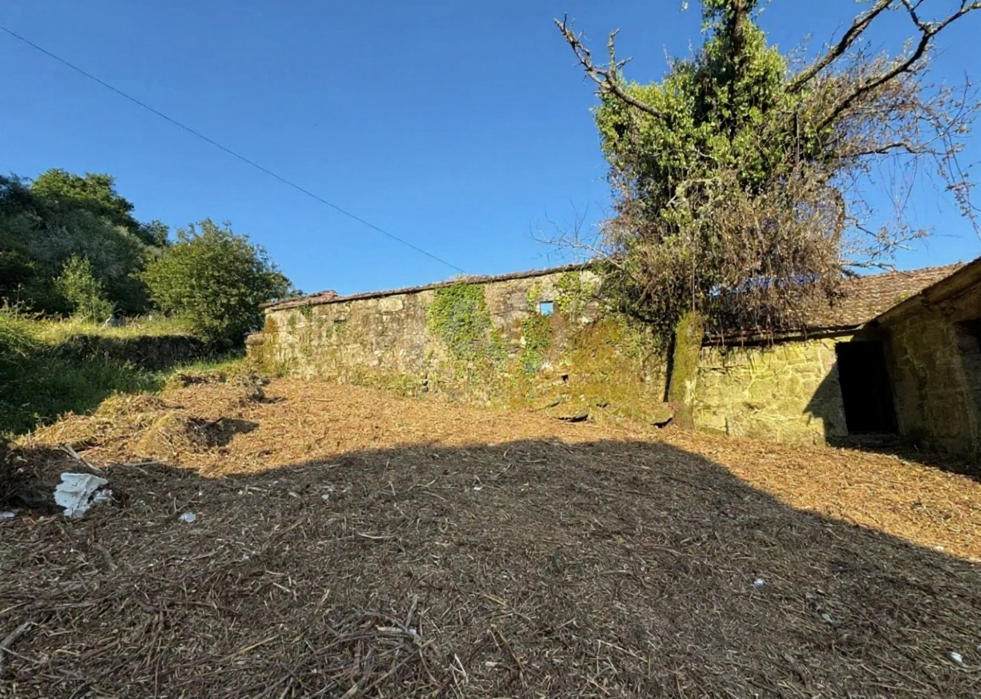 Finca rústica en venta en Covelo