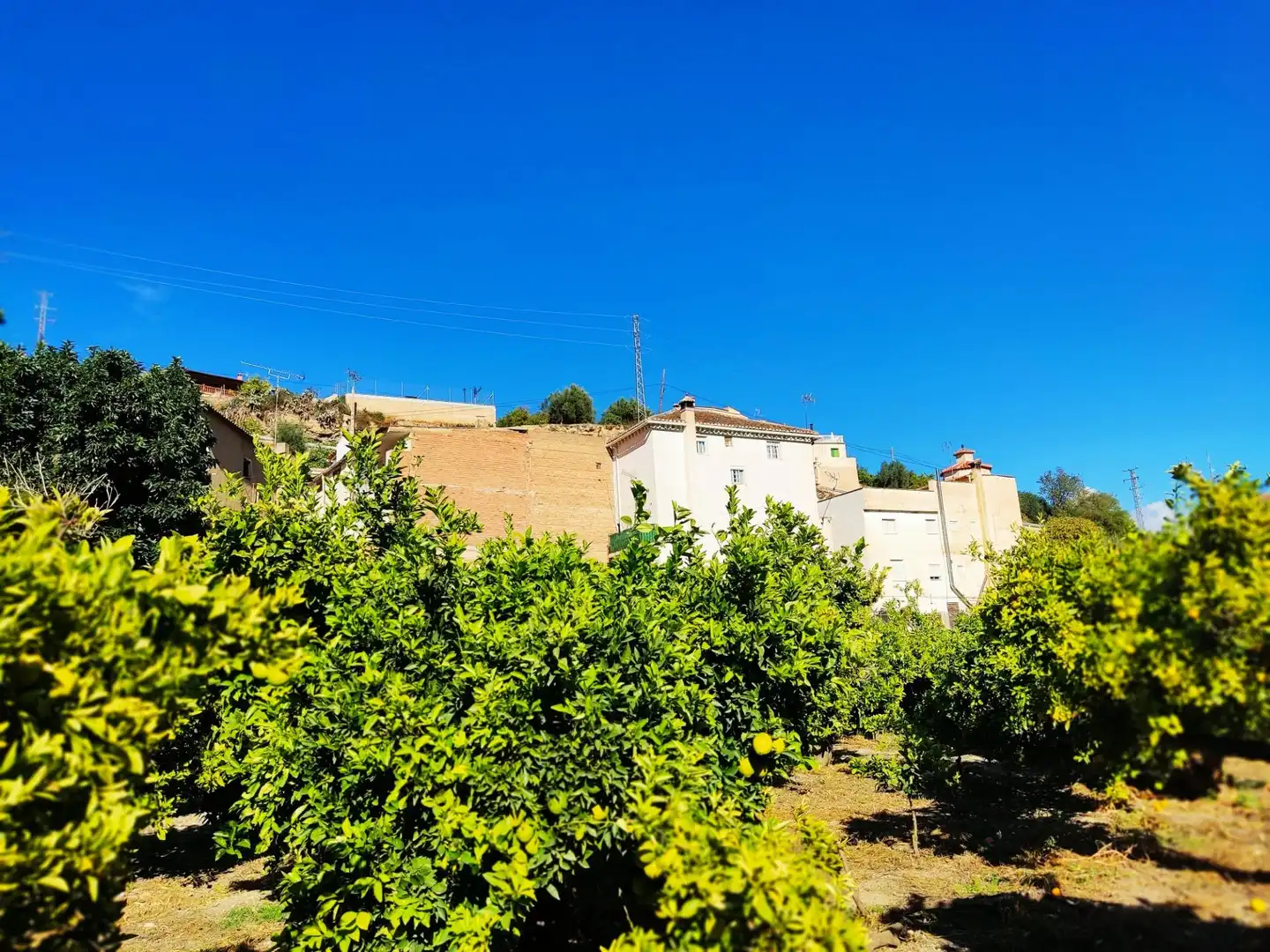 Terreno residenziale in vendita a El Valle, imagen 3