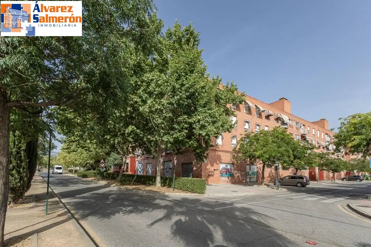 Vista exterior de Piso en venta en Granada con Balcón