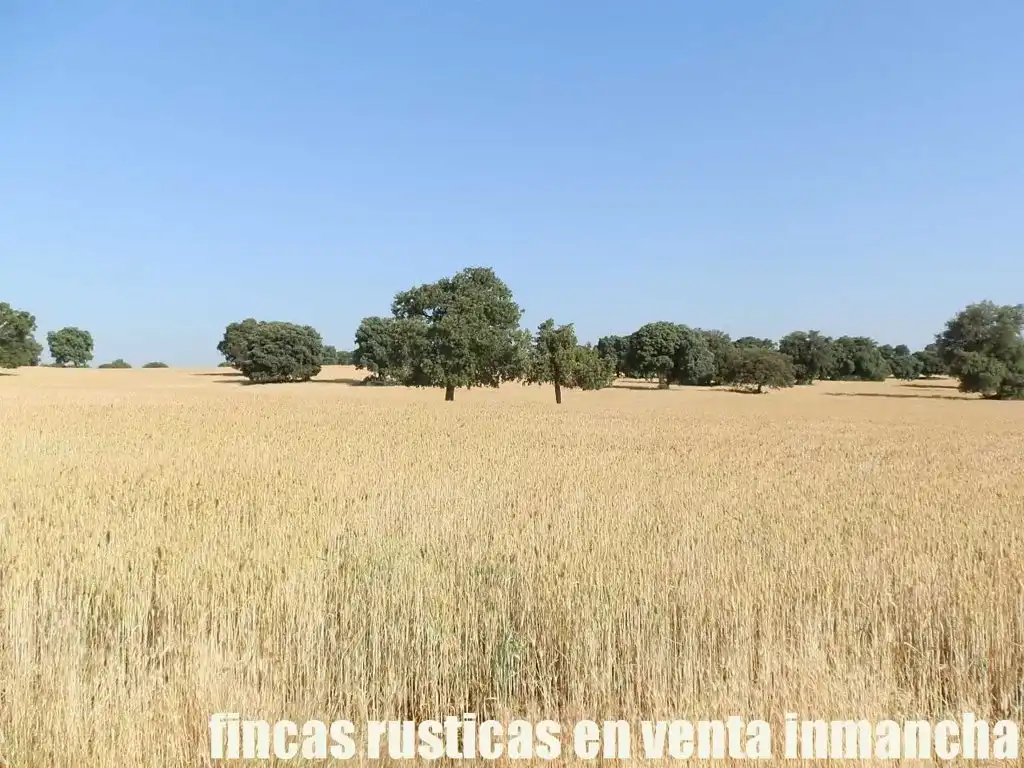 Terreno en venta en Alcaraz
