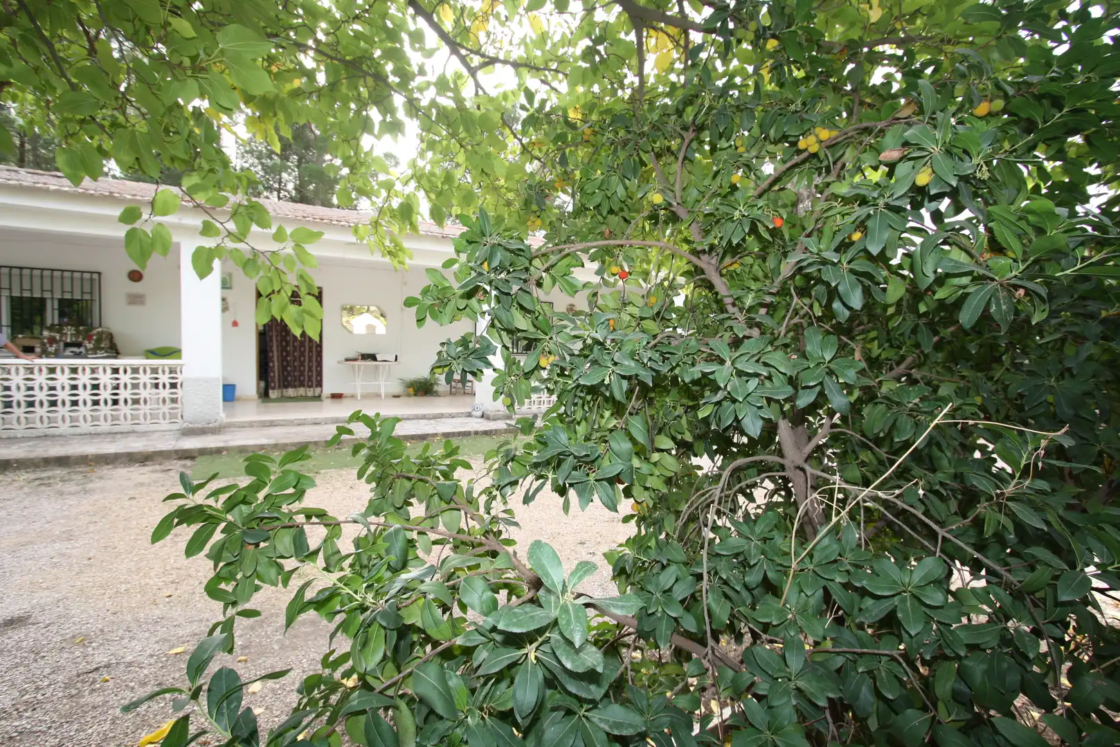 Xalet amb piscina en venda a Pedanías - Extrarradio, imagen 29