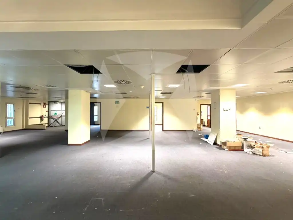 Gewerbefläche zur Miete in Plaza Portugal, imagen 15
