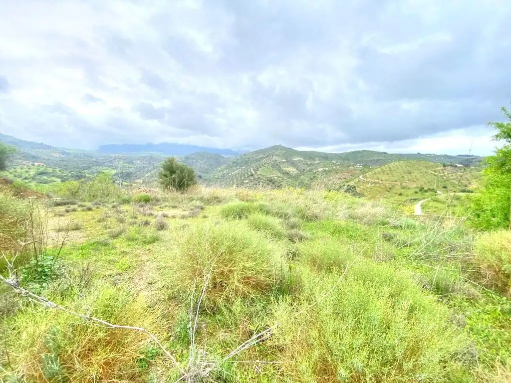 Casa rústica con jardín en venta en Colmenar, imagen 30