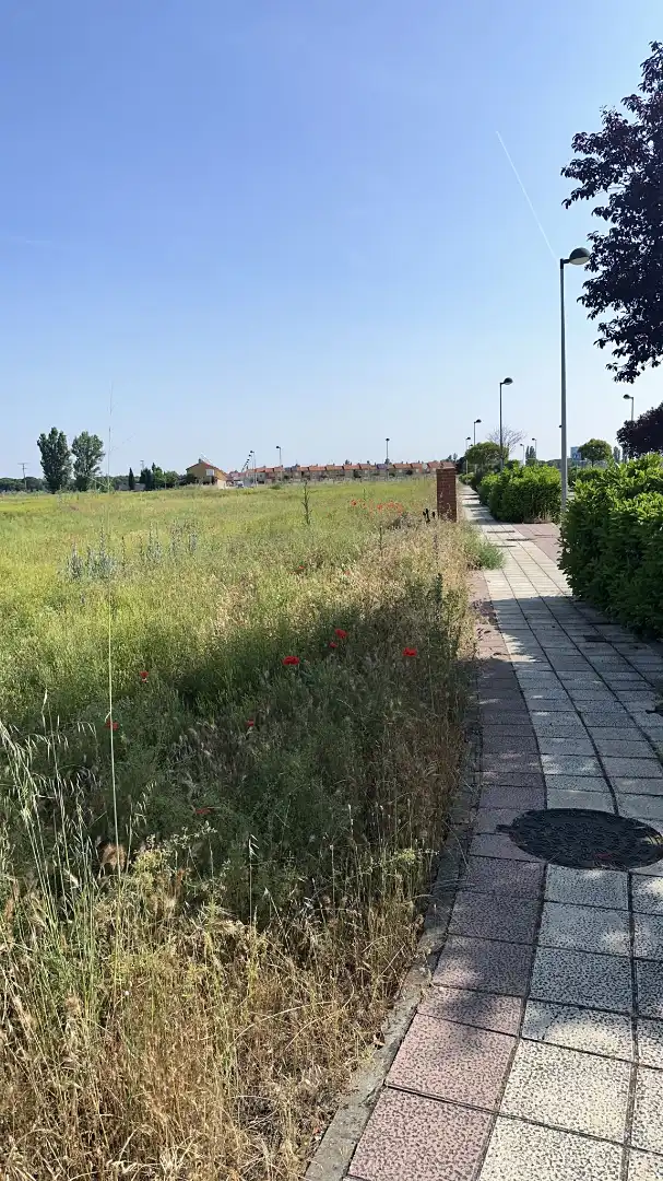 Terreni e lotti in vendita a Lugar Sud 12 1199, imagen 15