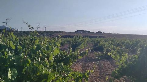 Foto 4 de Finca rústica en venda a Paraje Torre del Rico, 315, Jumilla, Murcia