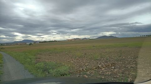 FINCA RUSTICA PARA ALMENDROS O RECREO, immagine 5
