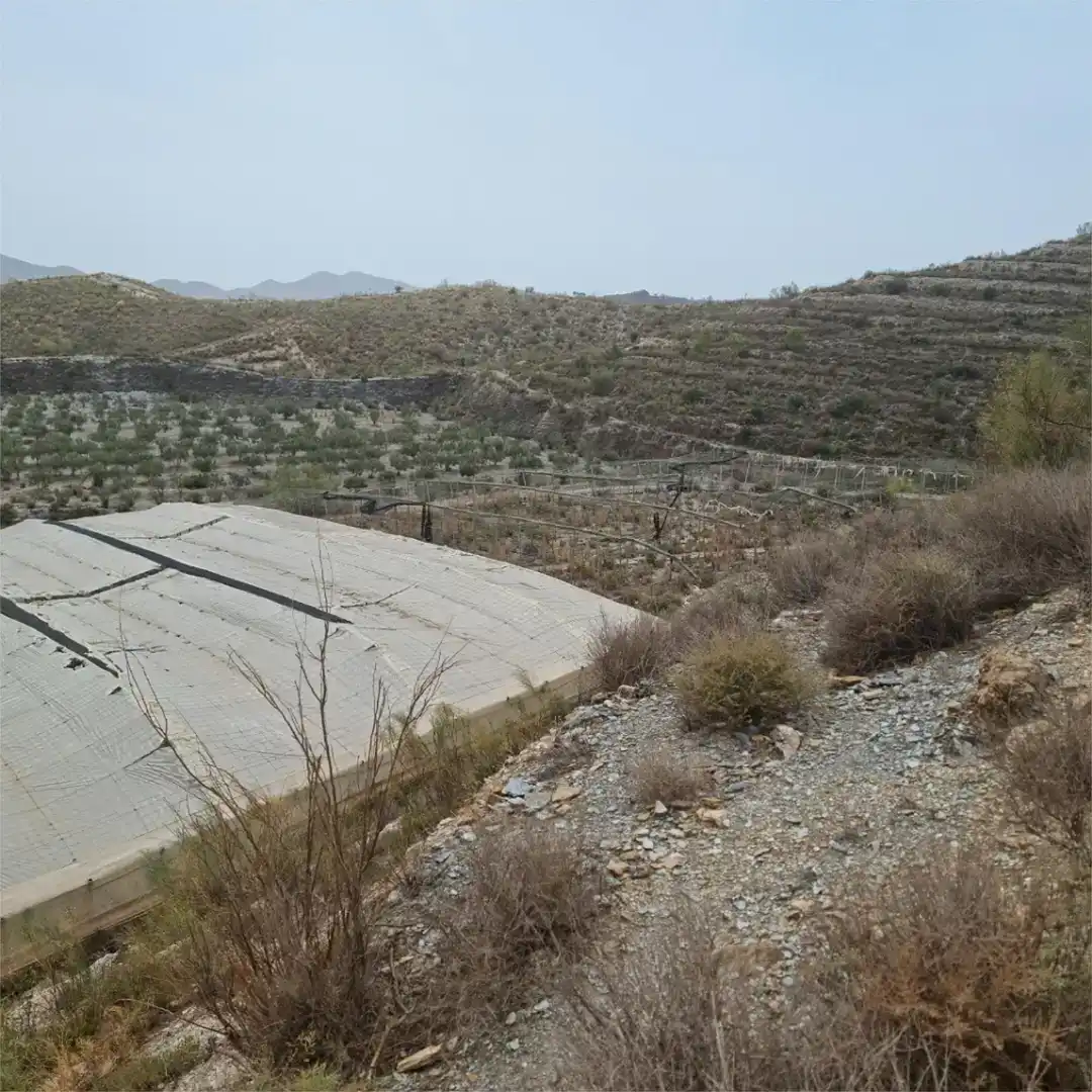 Finca rústica en venda en Motril