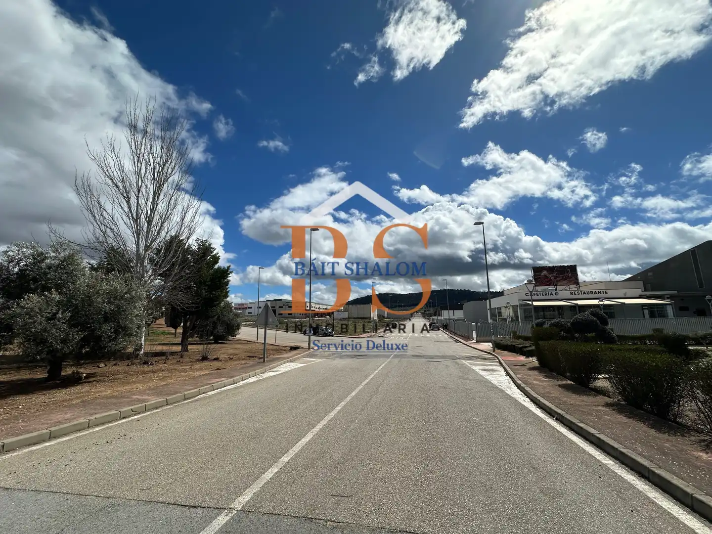Rural land for sale in Mollina, imagen 10