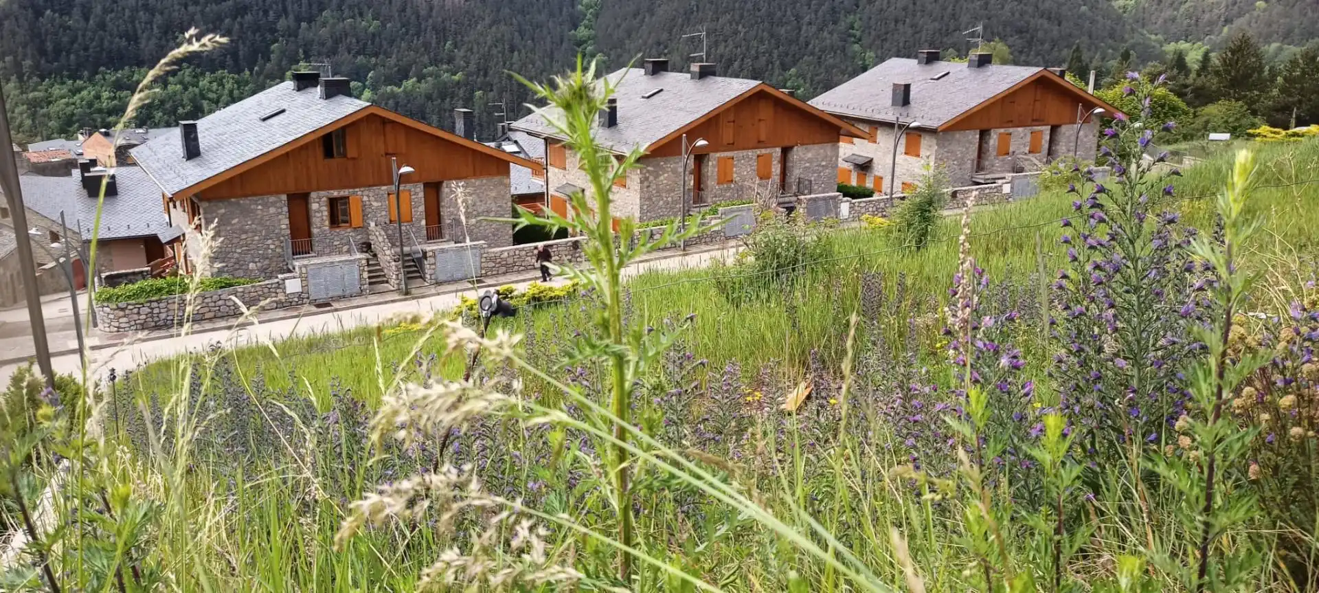 Residencial en venta en Joan Maragall, Planoles