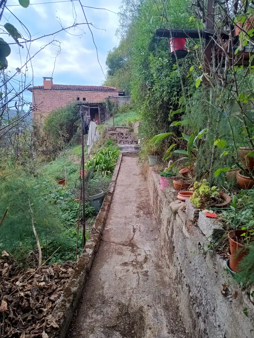 Jardí de Casa o xalet en venda en Laviana amb Calefacció, Jardí privat i Moblat