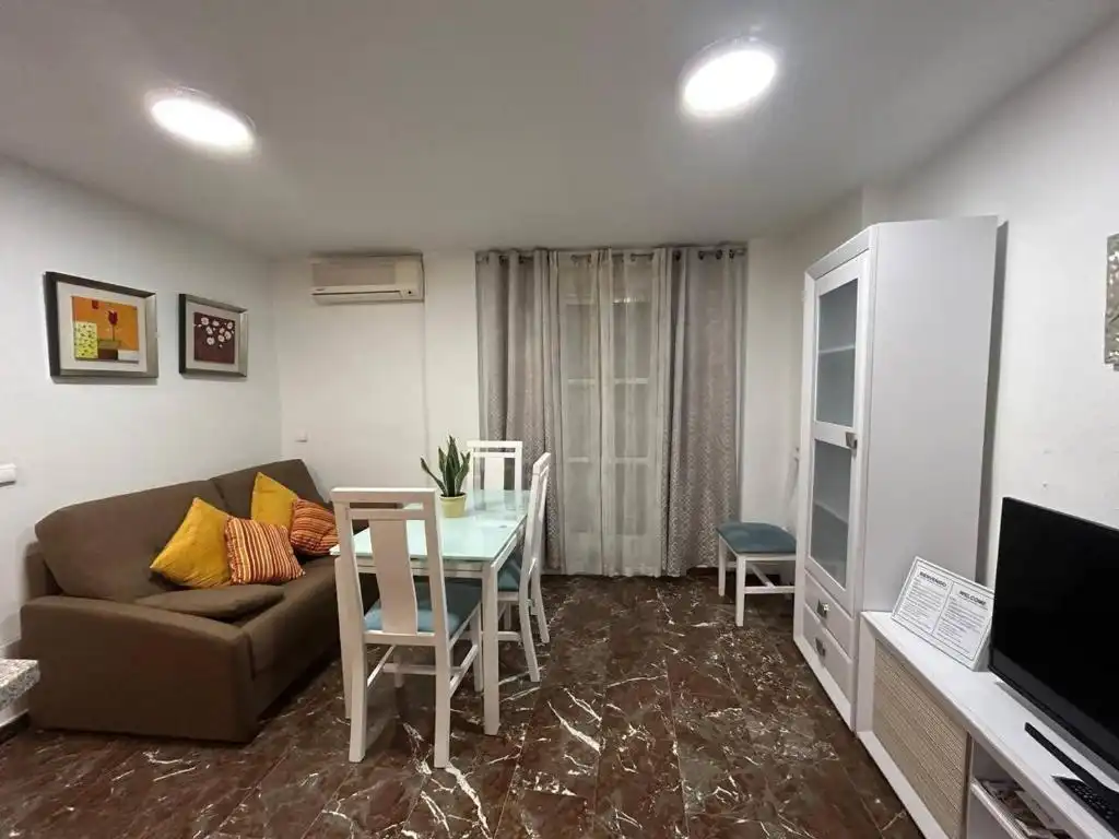 Sala d'estar de Pis de lloguer en Jaén amb Aire condicionat, Moblat i Microones