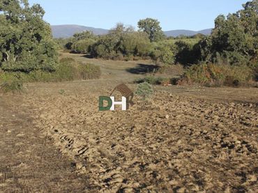 Terrenos y solares en venta en Casco Antiguo
