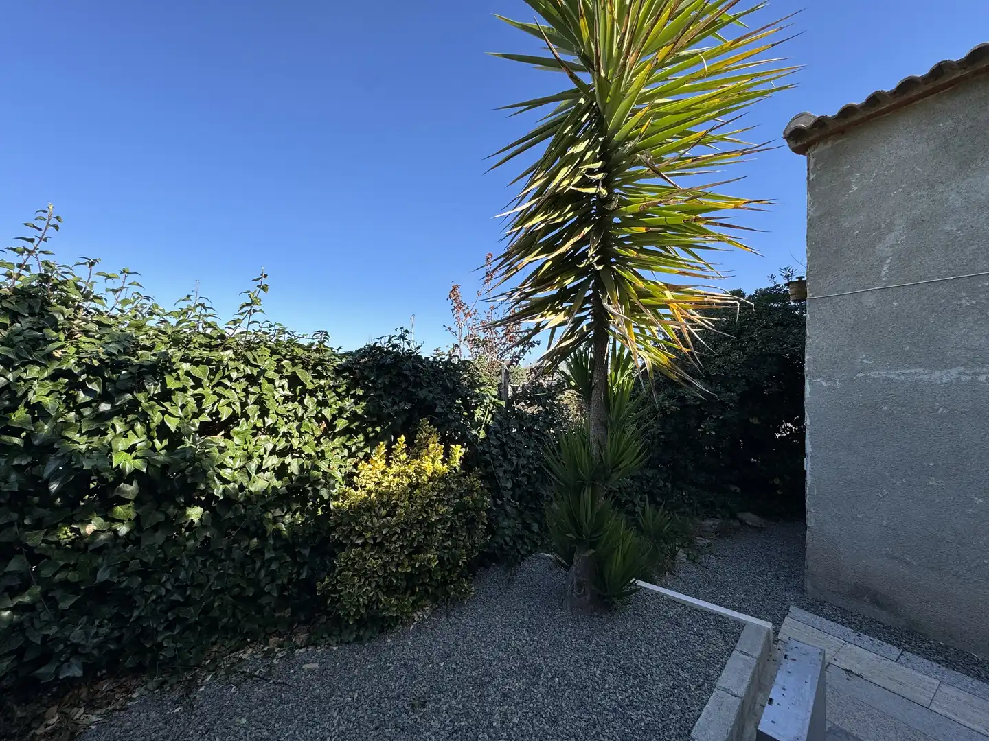 Casa o chalet de alquiler en Carretera de Murcia, 8, Cehegín