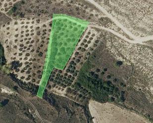 Land for sale in Armañanzas