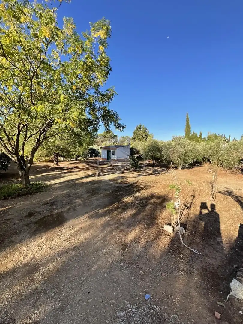 Vista exterior de Finca rústica en venta en Linares con Piscina