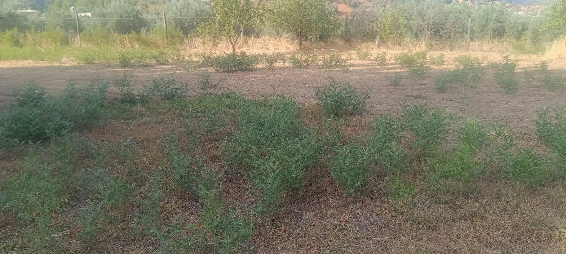 Casa rústica en venda a Huelma, imagen 33