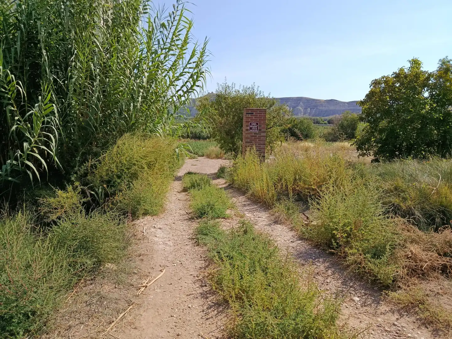 Casa o chalet en venta en Miedes de Aragón