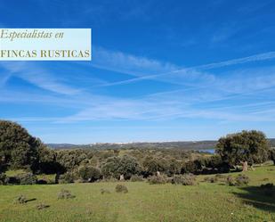 Land for sale in Matilla de los Caños del Río