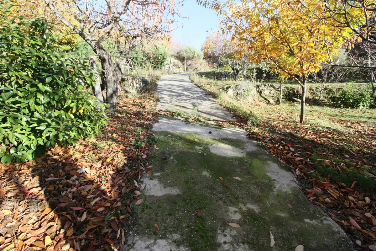 Vista exterior de Finca rústica en venda en El Arenal  amb Moblat