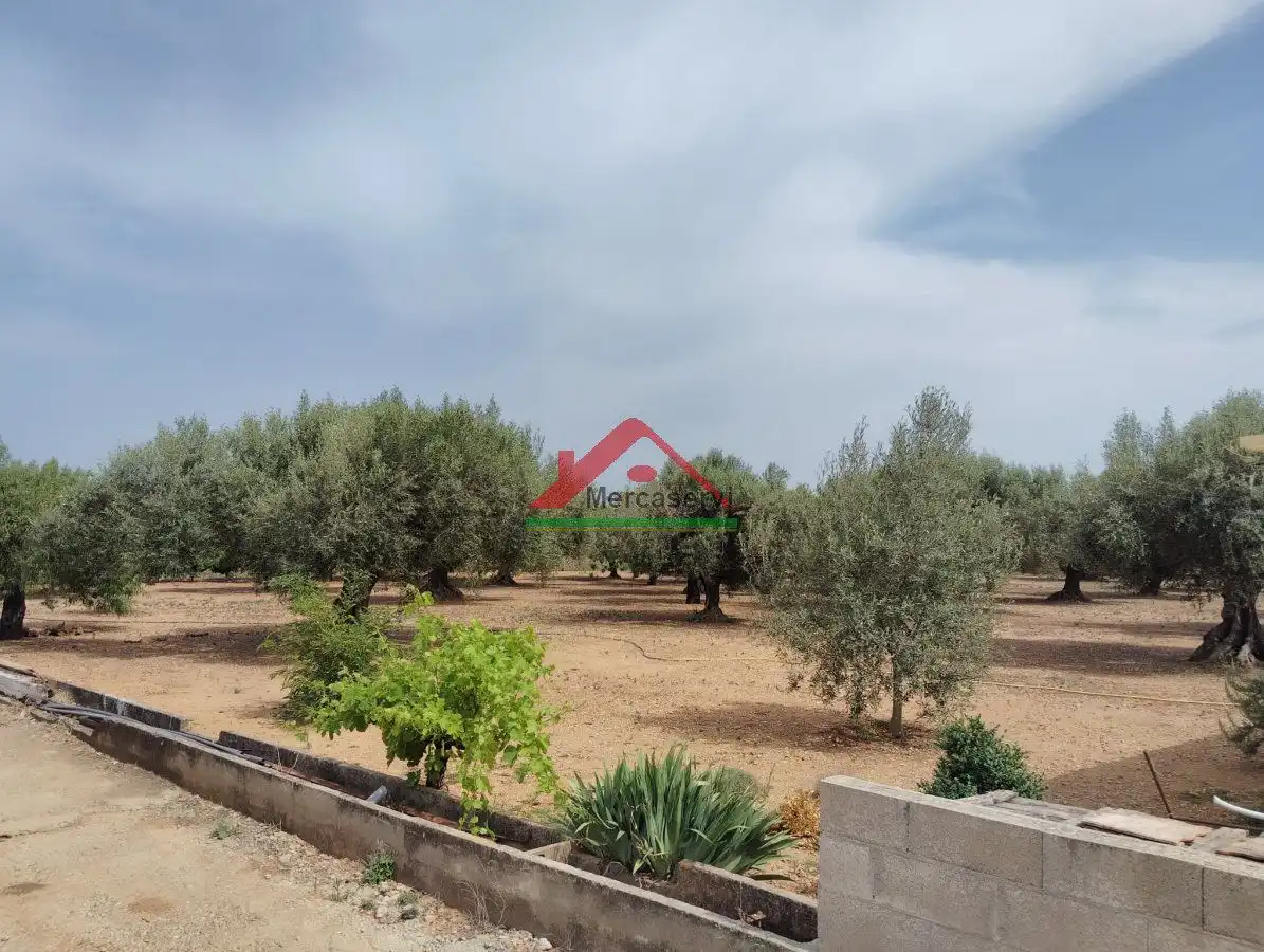 Country homes for sale in Vinaròs  with Terrace