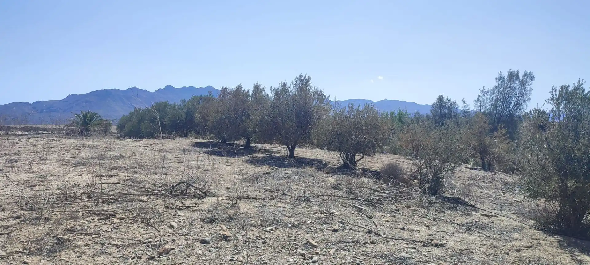 Terreny rústic en venda a Mojácar Pueblo, imagen 5