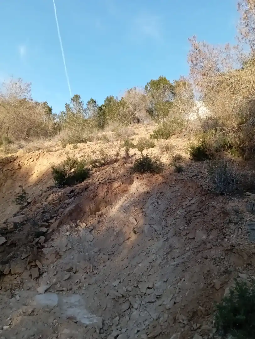 Terrenys i solars en venda a Camino Coto de los Cuadros, imagen 8