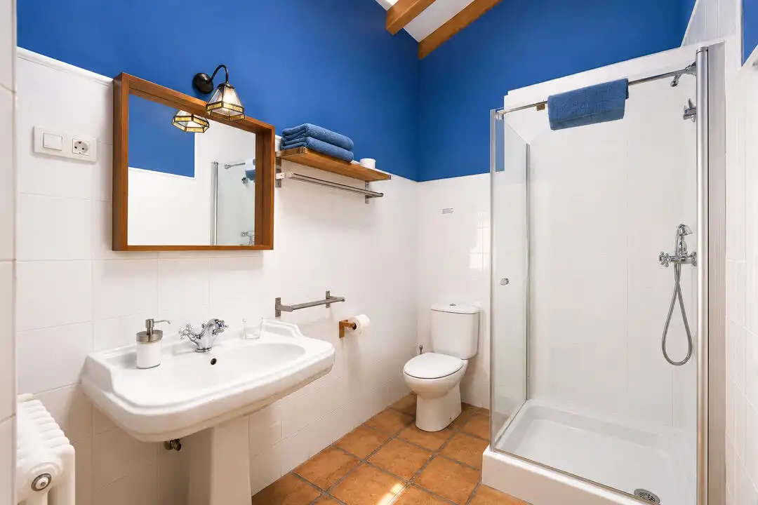 Baño de Casa o chalet en venta en Ayala / Aiara con Aire acondicionado, Calefacción y Jardín privado