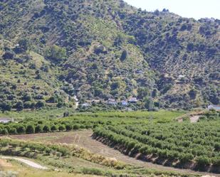 Vista exterior de Finca rústica en venda en Pizarra amb Aire condicionat