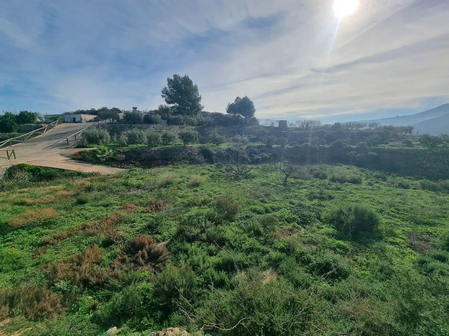 Rural land for sale in Terque, imagen 15