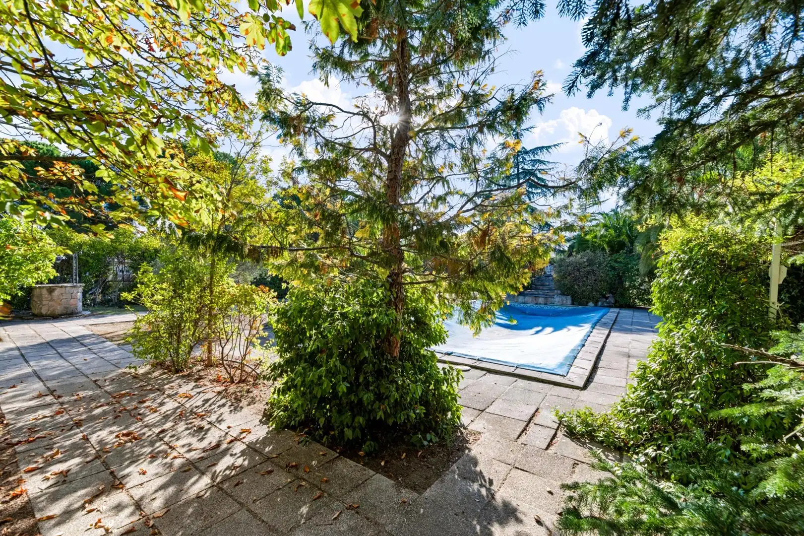 Piscina de Casa o xalet en venda en El Bosque
