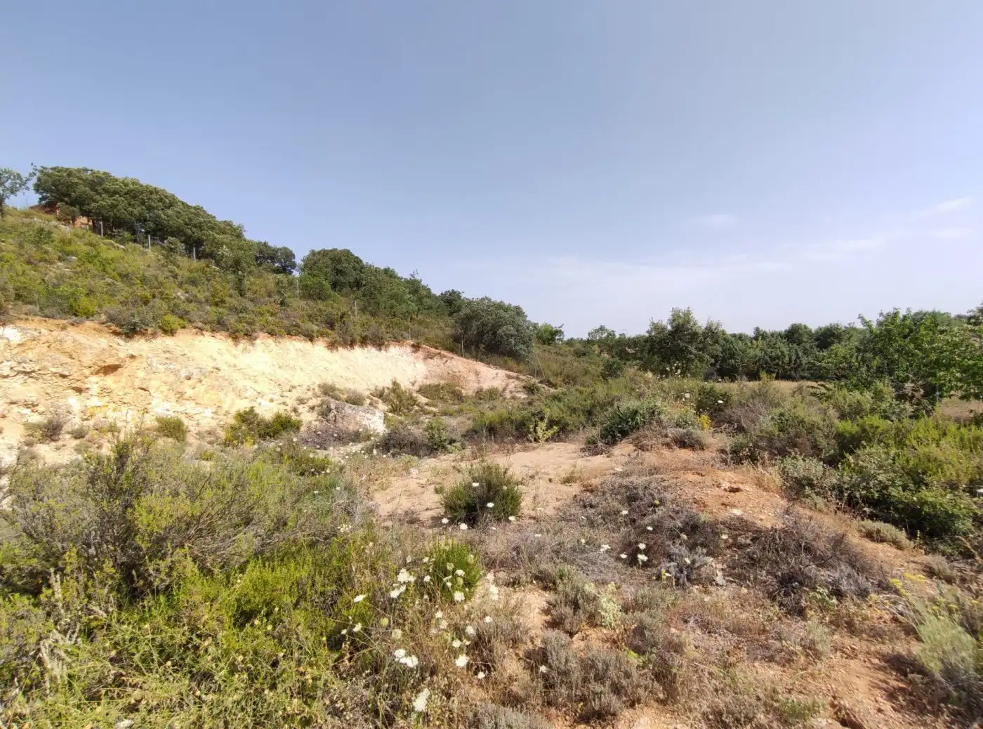 Terreny residencial en venda a Loranca de Tajuña, imagen 33