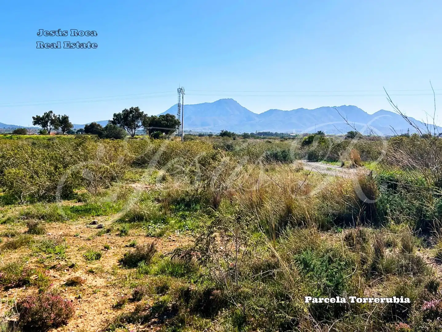 Terreno rustico in vendita a Pedanías Oeste, imagen 9