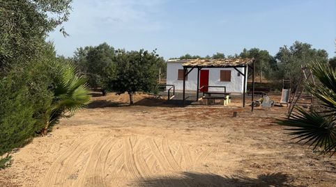 Foto 2 de Finca rústica en venda a Almonte ciudad, Almonte