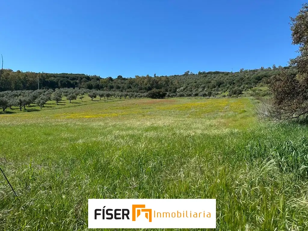 Terreno rustico in vendita a Diseminado Peralas, imagen 3