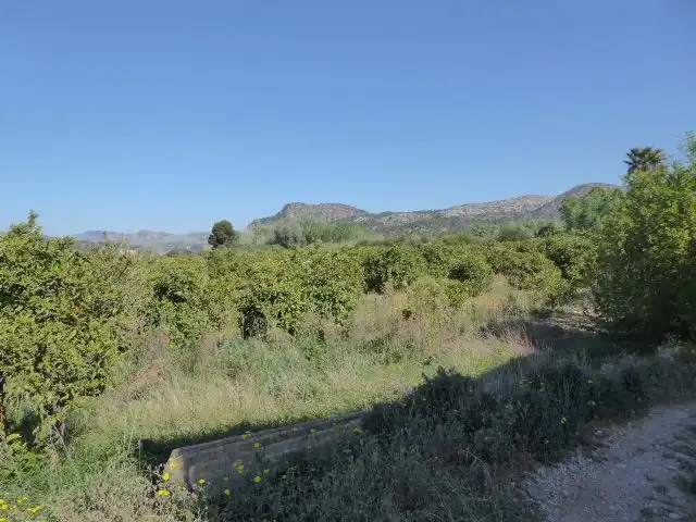 Villa con terrazza in vendita a Xerta, imagen 36