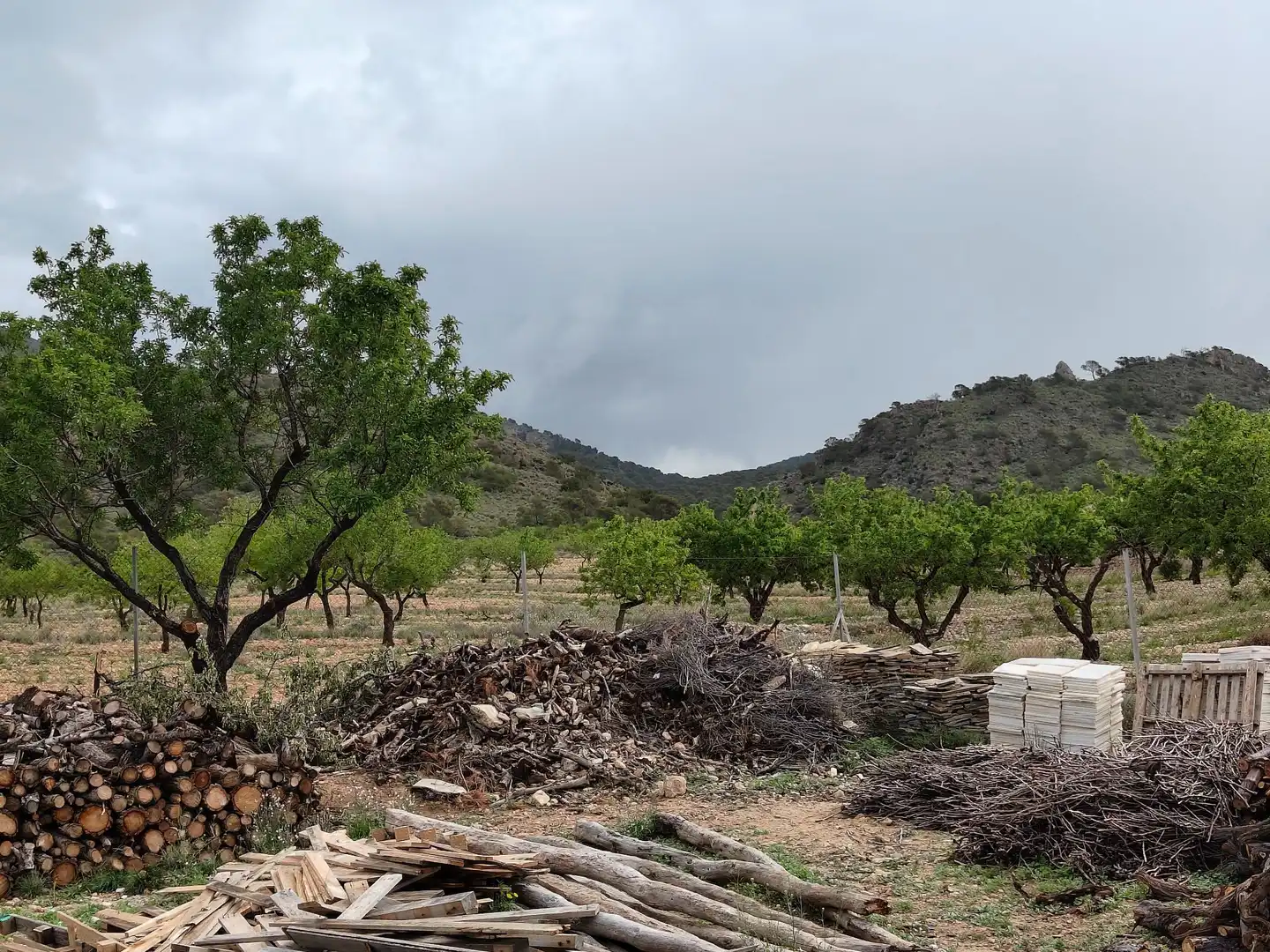 Casa o chalet en venta en Jumilla