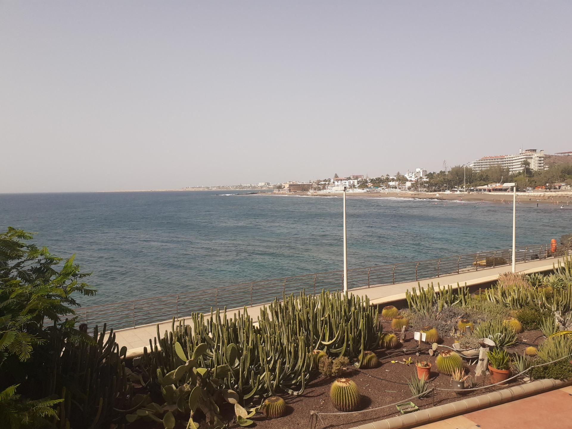 Vista exterior de Estudi de lloguer en San Bartolomé de Tirajana amb Piscina comunitària